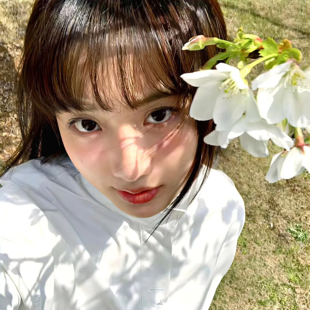 孤独的美食家 第一季